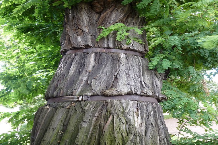 Kindertagesstätte Hedwigswiese in schmalkalden, PLZ 98574 - 1