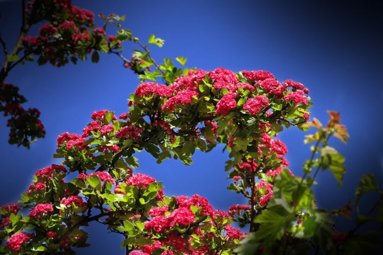 Kindertagesstätte in bergen auf rügen, PLZ 18528 - 1