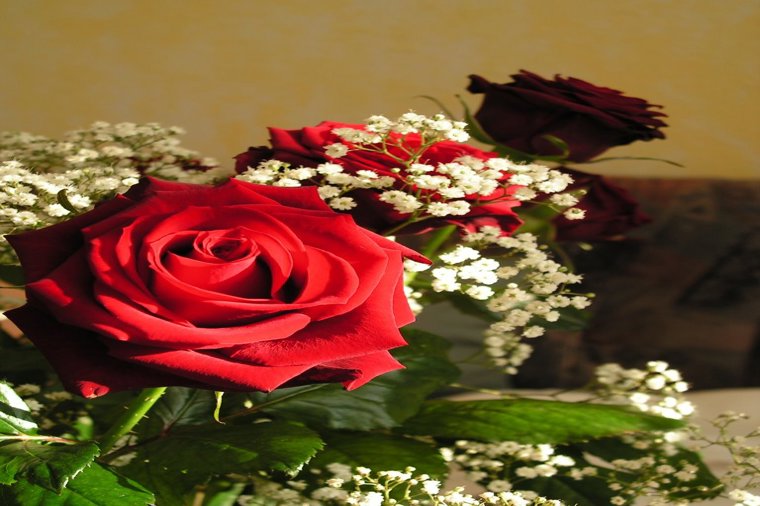 Kindertagesstätte "Johannesplatzkäfer" in erfurt, PLZ 99086 - 1