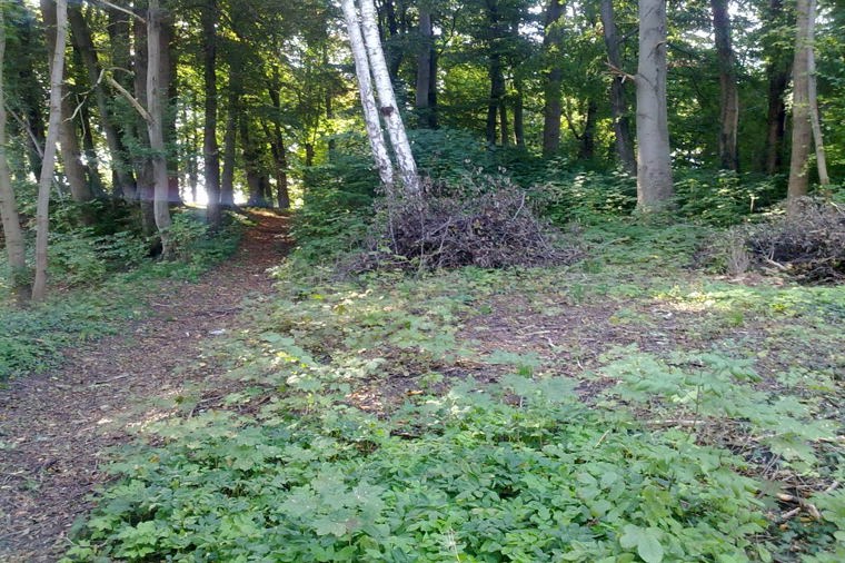 Kindertagesstätte Kinderparadies in brüel, PLZ 19417 - 2