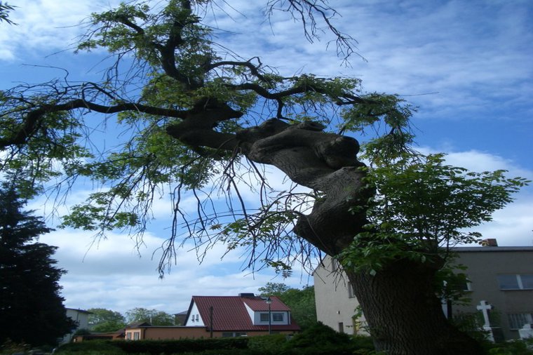 Kindertagesstätte "Kinnerkaan" in kröslin, PLZ 17440 - 2