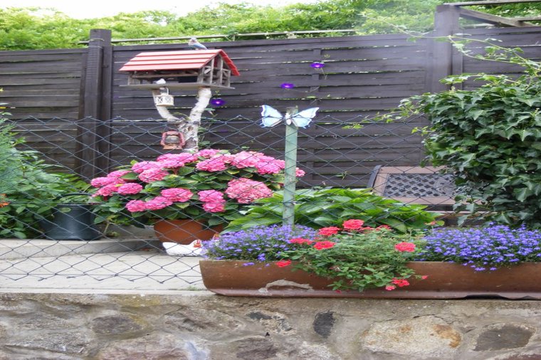 Kindertagesstätte "Knirpsenland" in laage, PLZ 18299 - 1