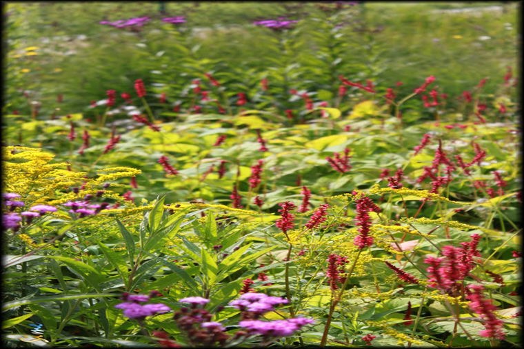 Kindertagesstätte Liliput in erfurt, PLZ 99102 - 1
