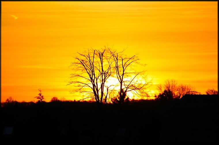 Kindertagesstätte Liliput in erfurt, PLZ 99102 - 2