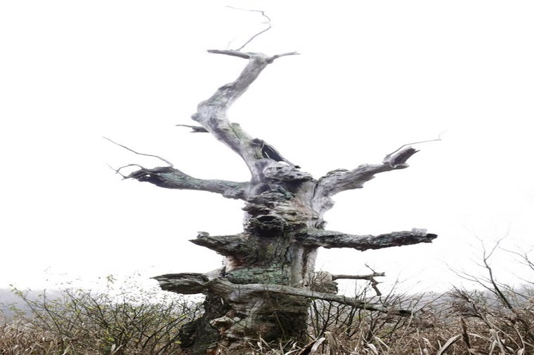 Kindertagesstätte "Nebelstrolche" in kuchelmiß, PLZ 18292 - 2