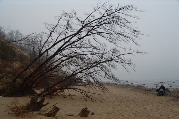 Kindertagesstätte "Olga Benario Prestes" in sellin, PLZ 18586 - 2