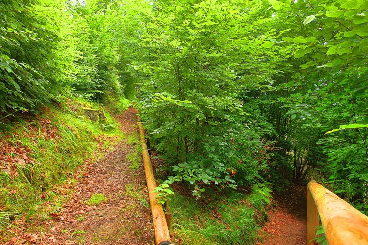 Kindertagesstätte "Pusteblume" in floh-seligenthal, PLZ 98593 - 2