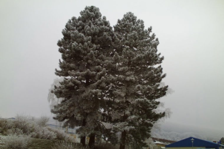 Kindertagesstätte "Schlößchen am Festplatz" in bleicherode, PLZ 99752 - 2