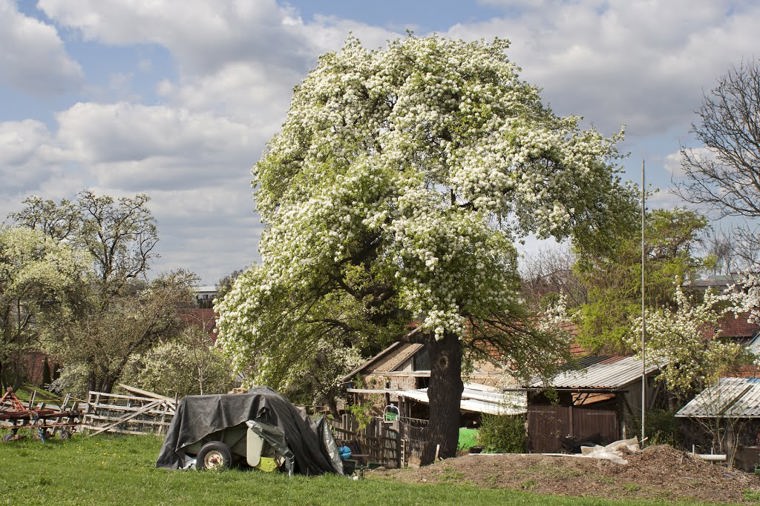 Kindertagesstätte Sprötau in sprötau, PLZ 99610 - 1