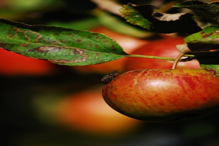 Kindertagesstätte "Strandmuschel" in rostock, PLZ 18119 - 1