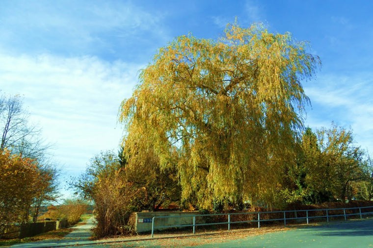 Kindertagesstätte Waldgeister am Steintisch in blankenhain, PLZ 99444 - 1
