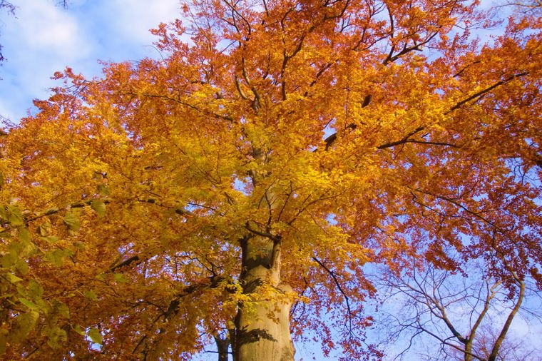Kindertagesstätte Waldgeister am Steintisch in blankenhain, PLZ 99444 - 2