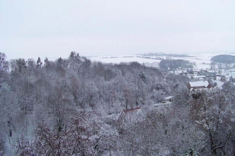 Kindertagesstätte "Waldstrolche" Beichlingen in beichlingen, PLZ 99625 - 2