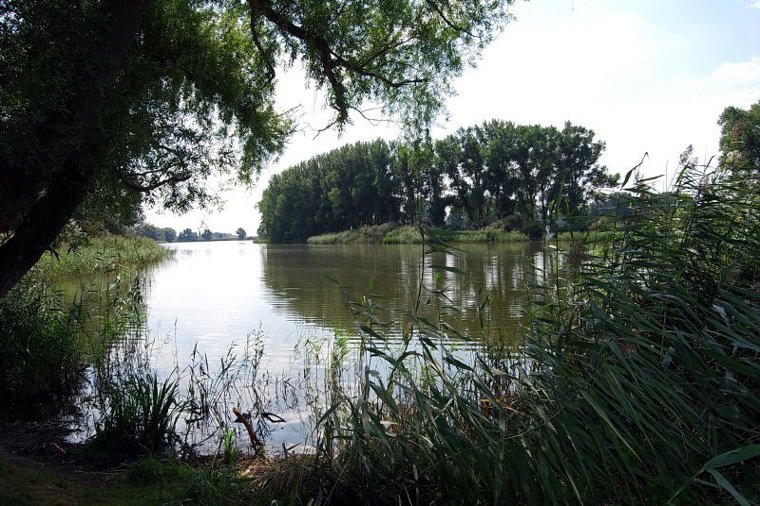 Kindertagesstätte Wildblume in garz, PLZ 18574 - 2