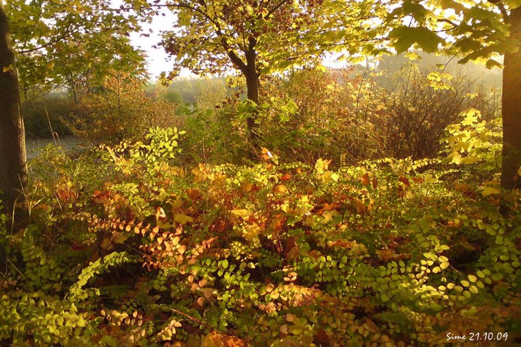 Kindertagesstätte "Zwergenland" in erfurt, PLZ 99097 - 2