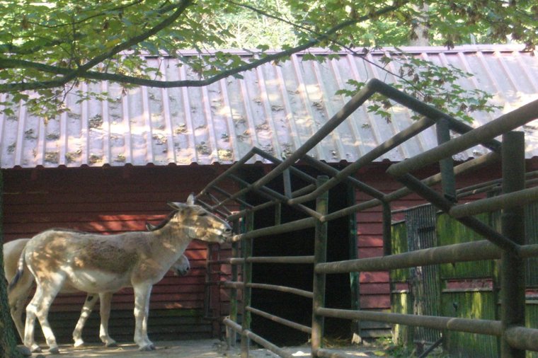 Kita Abenteuerland in neustrelitz, PLZ 17235 - 2