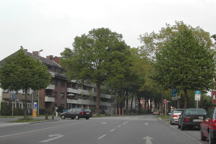 Kita Blauer Elefant in neumünster, PLZ 24534 - 2