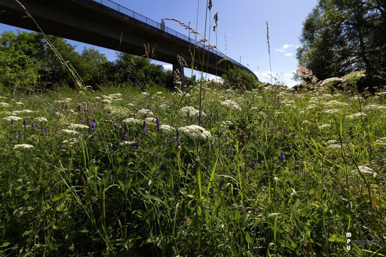 Kita Grashüpfer in kiel, PLZ 24159 - 1