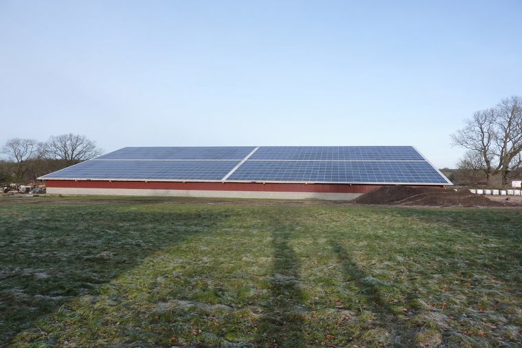 Kita Kindernest in bujendorf, PLZ 23701 - 1