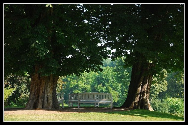 Kita Tiefurt in weimar, PLZ 99425 - 2