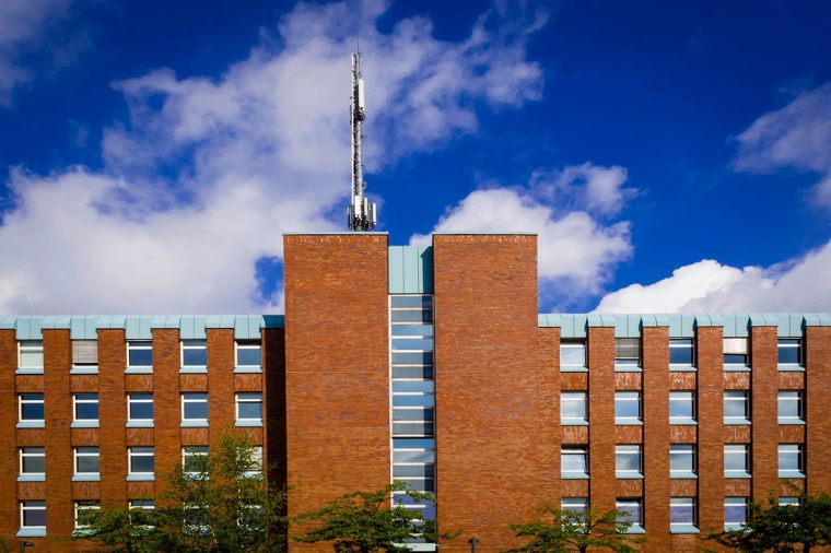 Kleine Strolche in lübeck, PLZ 23556 - 2