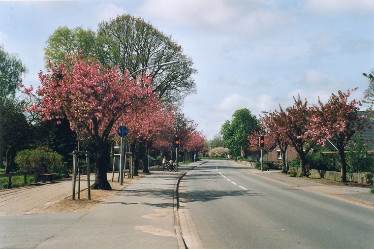 Læk Børnehave in leck, PLZ 25917 - 2