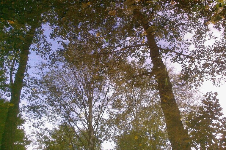 Montesorri Kinderhaus in mölln, PLZ 23879 - 2