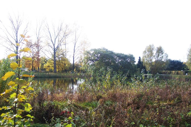 Naturkindergarten Reinbek e.V. in reinbek, PLZ 21465 - 1