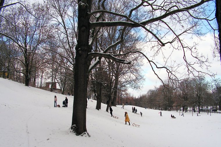 Städt. Kindergarten Am Aquarium in erfurt, PLZ 99089 - 2