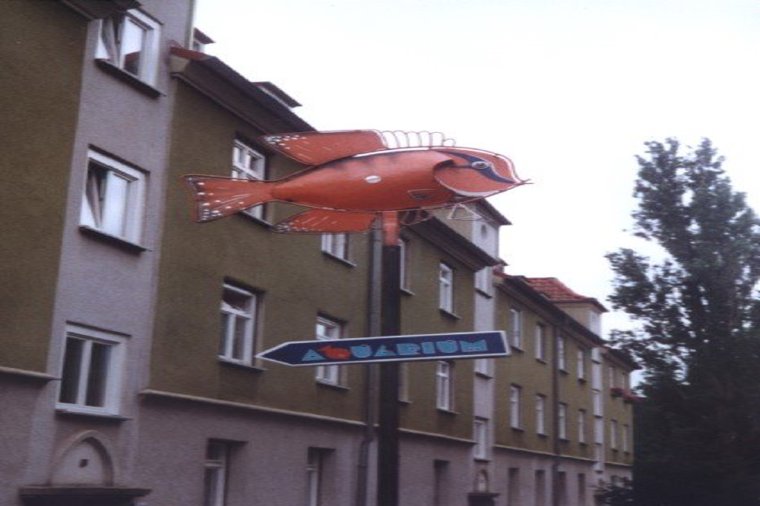 Städt. Kinderkrippe Am Aquarium in erfurt, PLZ 99089 - 2