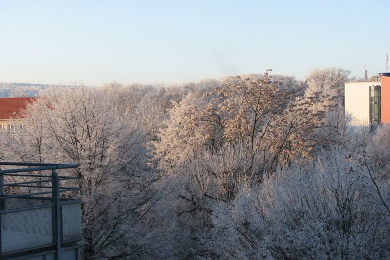 Städt. Kindertagesstätte Daberstedter Räuberland in erfurt, PLZ 99099 - 1