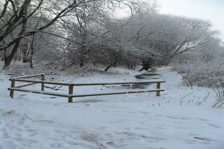 Städt. Kita Wittorf in neumünster, PLZ 24539 - 2