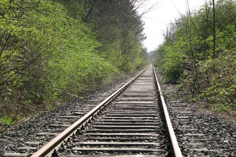 Vicelin - Kinderstube Nietzschestraße in kiel, PLZ 24116 - 1