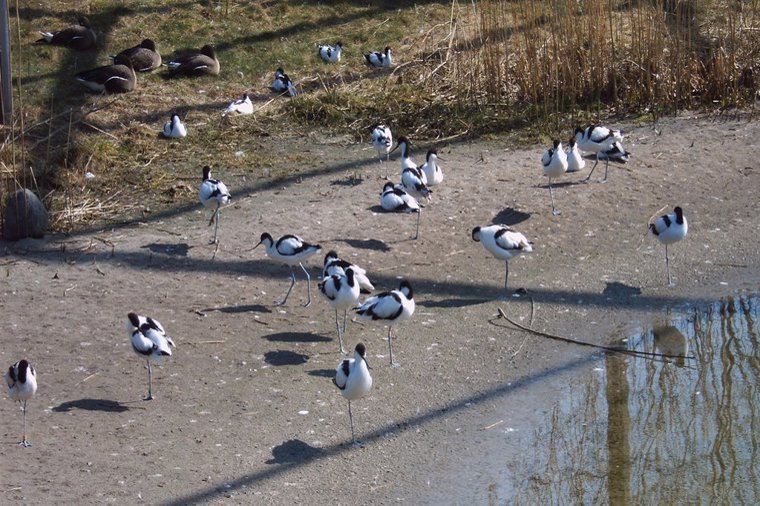 Vorschule Universitas in rostock, PLZ 18057 - 2