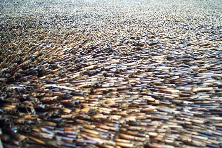 Vyk Legestue in wyk auf föhr, PLZ 25938 - 2