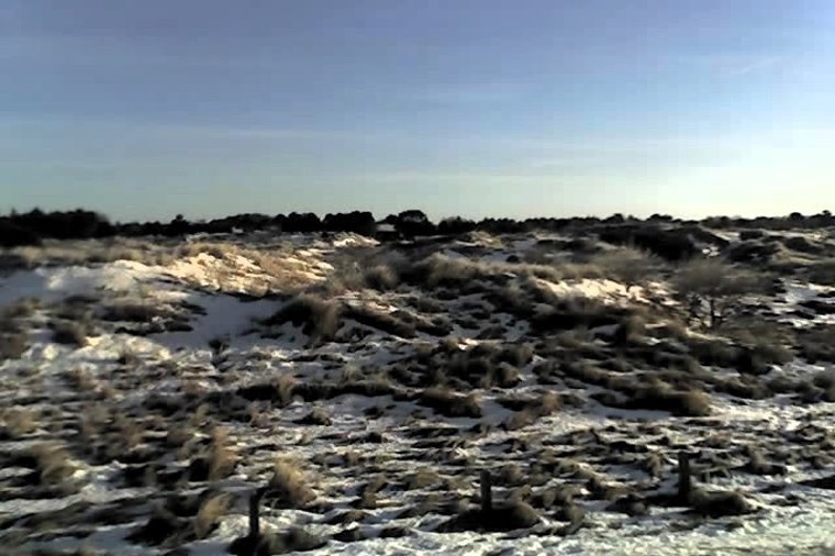 Wald- und Wattkindergarten in sankt peter-ording, PLZ 25826 - 1