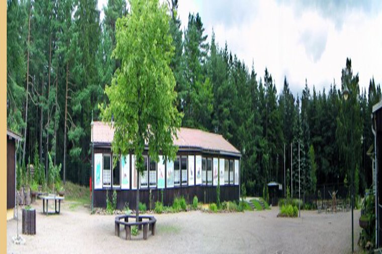 Waldkindergarten Ilmenau in roda, PLZ 98693 - 1