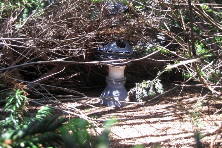 Waldkindergarten Winzerla in jena, PLZ 07745 - 1