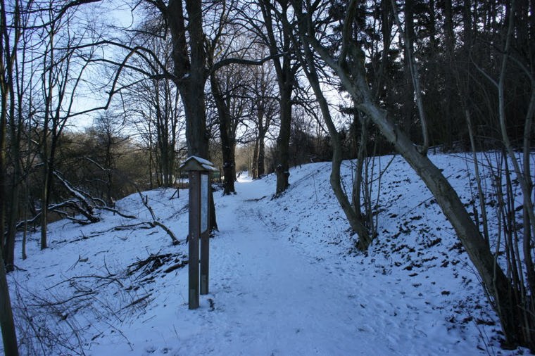 Waldorf Kita e.V. in flensburg, PLZ 24941 - 1