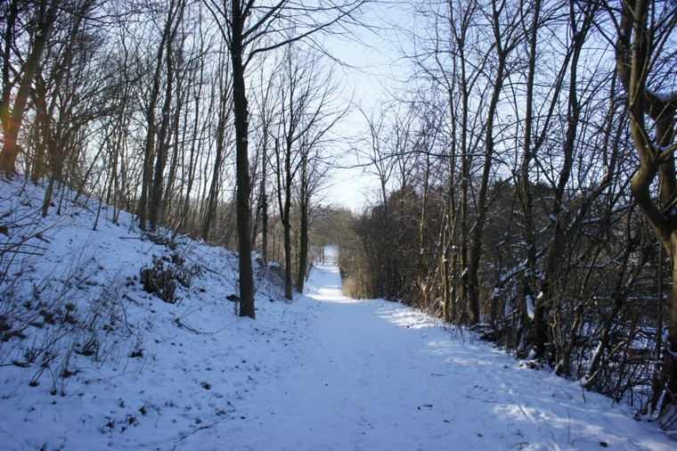 Waldorf Kita e.V. in flensburg, PLZ 24941 - 2